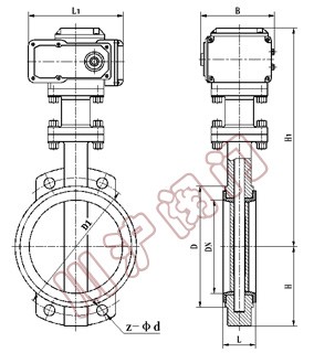 D971電動軟密封蝶閥 結(jié)構(gòu)圖