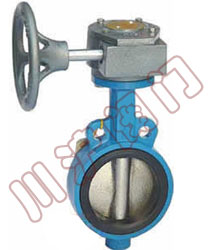 D371x軟密封對夾蝶閥