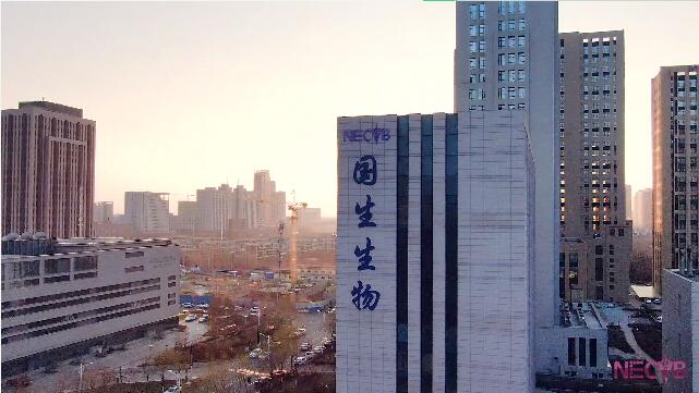 �����y�T