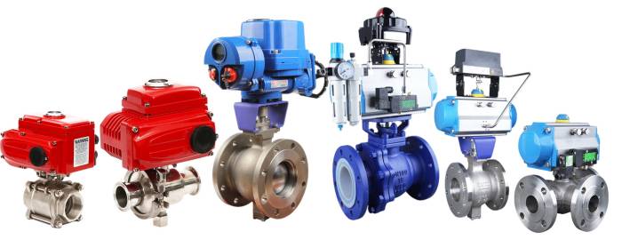 �Ϻ������y�T���y